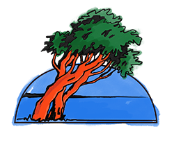 Toner Capital Group